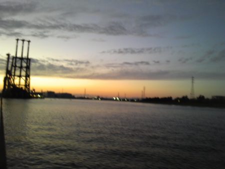 タケノコメバル