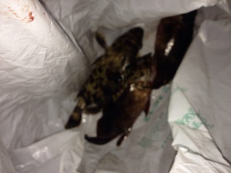 夜勤明けからの