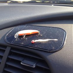 アジがいない…