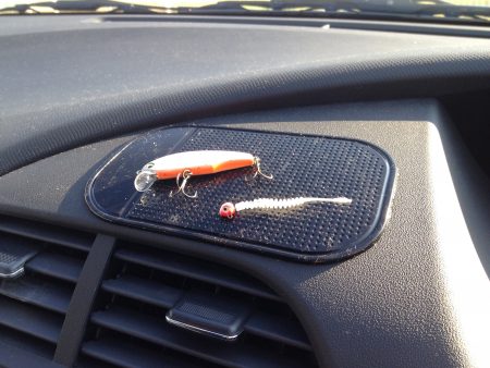 アジがいない…