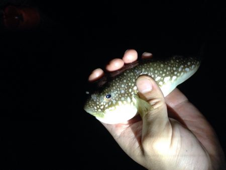 アジングランガン