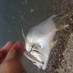 泉南メッキ調査