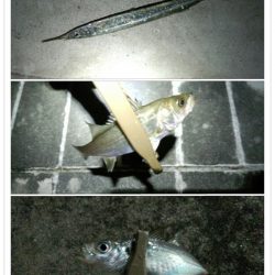 五目達成です〜！