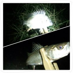 寒くなって来ましたね〜