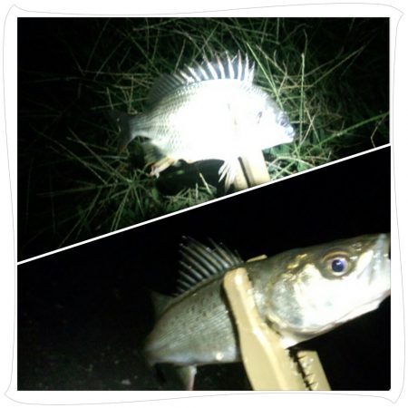 寒くなって来ましたね〜