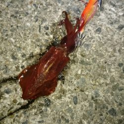 厳しいですね。