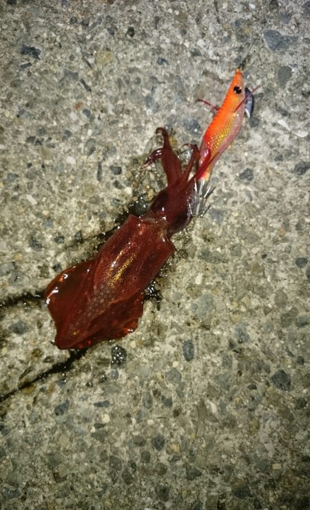 厳しいですね。