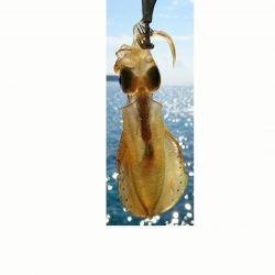 秋イカを求めて！！