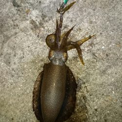 なが〜い沈黙。