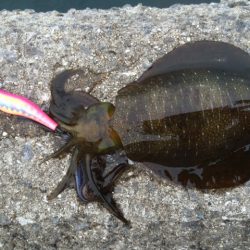 渋かった～(^-^;