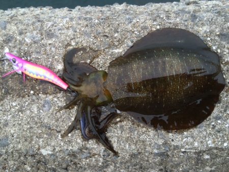 渋かった～(^-^;