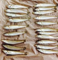 先週に引き続きキスをゲット