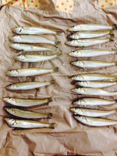 先週に引き続きキスをゲット