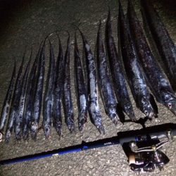 タチウオプチ爆