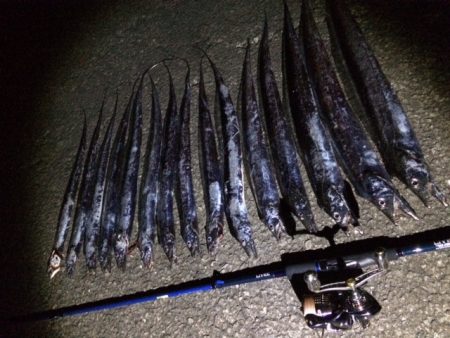 タチウオプチ爆