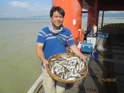 尼崎市立魚つり公園　早朝のアジ