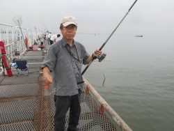 尼崎市立魚つり公園 サヨリも釣れてます