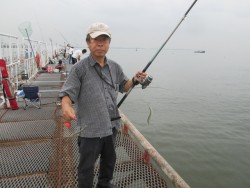 尼崎市立魚つり公園　サヨリも釣れてます