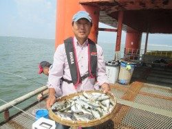 サッパが安定して釣れています。尼崎市立魚つり公園