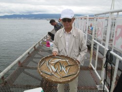 尼崎市立魚つり公園　サヨリ高活性