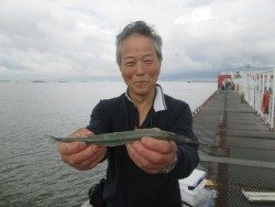 悪天でもサビキ釣果は好調！尼崎市立魚つり公園