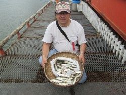 悪天でもサビキ釣果は好調！尼崎市立魚つり公園