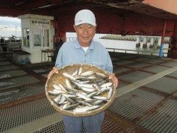 尼崎市立魚つり公園　サバ戻ってきました