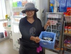 大阪南港海釣り公園　小アジ、サッパ好調