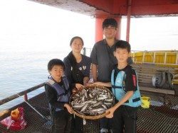 尼崎市立魚つり公園　イワシの大群襲来