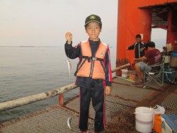 尼崎釣り公園　今日もサビキの釣果で賑わう