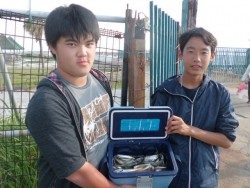 大阪南港海釣り公園　イワシ、アジ好調