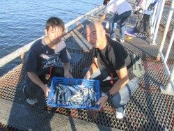 尼崎市立魚つり公園 投稿