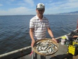 尼崎市立魚つり公園 投稿