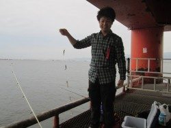 尼崎市立魚つり公園　イワシの爆釣継続中！