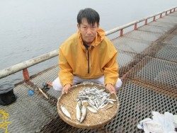 尼崎市立魚つり公園 投稿