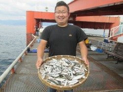 尼崎市立魚つり公園　サビキ入れ食い