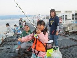 尼崎市立魚つり公園 イワシ６００匹オーバーの大漁！