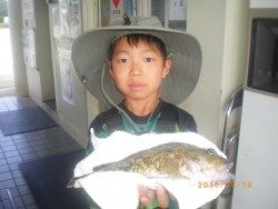 姫路市立遊魚センター チヌ、タケノコメバルなどの釣果