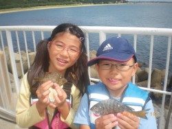 姫路市立遊魚センター チヌ、タケノコメバルなどの釣果