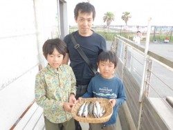 サビキ釣りで大漁 アジ・イワシ・サッパ・サバ