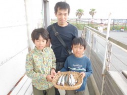 サビキ釣りで大漁　アジ・イワシ・サッパ・サ…