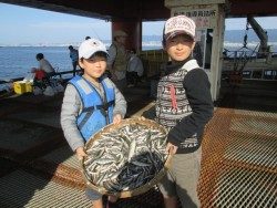 尼崎市魚つり公園 サビキの爆釣継続中