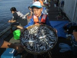尼崎市魚つり公園 サビキの爆釣継続中
