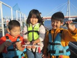 尼崎市立魚つり公園　サビキは午前中が好釣果