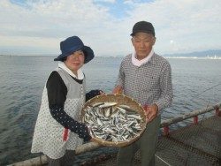 尼崎海釣り公園　サビキの釣行は午前がオススメ