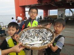 尼崎市魚つり公園　今日もサビキは安定釣果