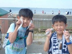 大阪南港海釣り公園　サバ好調
