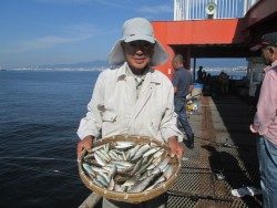 尼崎市立魚つり公園　サビキまだまだ好調