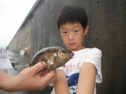 和歌山北港魚つり公園でアイゴ