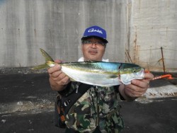 和歌山北港魚つり公園 でツバス
